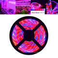 LED Plant Grow Strip Light, 5050 Waterproof Full Spectrum Red Blue 4:1 Growing Lamp Aquarium Greenhouse